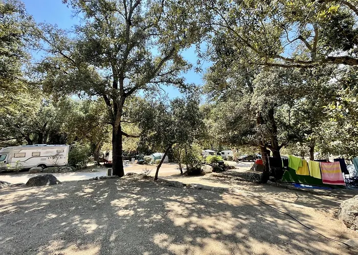 La Baie Des Voiles *