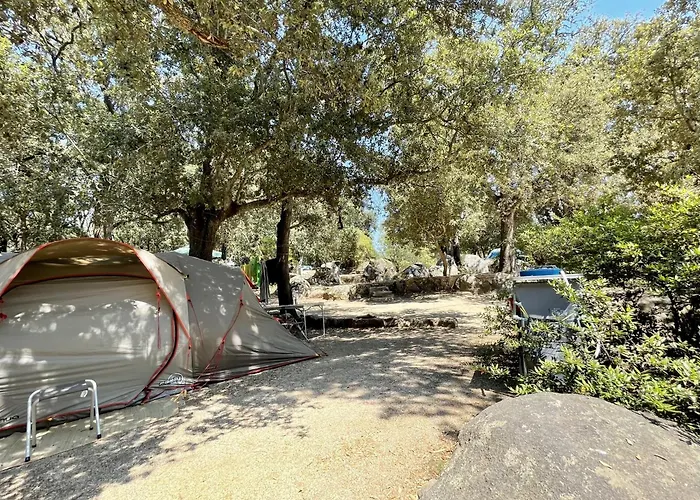 La Baie Des Voiles 维琪奥港