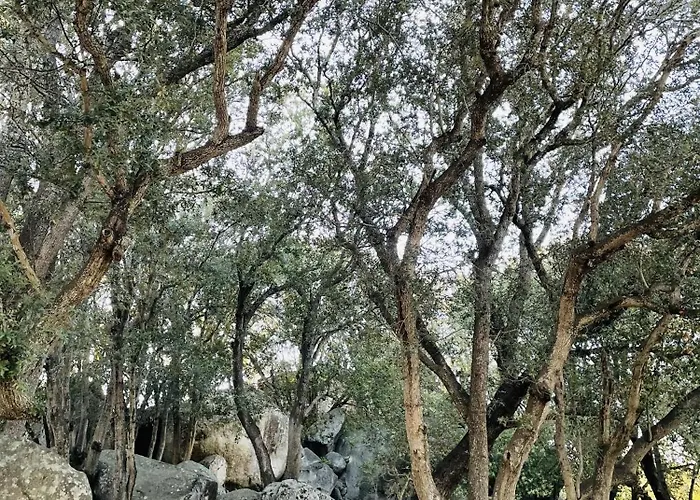 Porto-vecchio La Baie Des Voiles Alpstuga