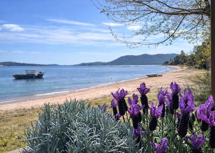 Porto-vecchio La Baie Des Voiles Σαλέ *