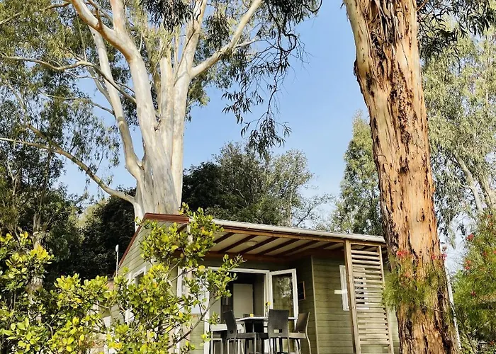 Porto-vecchio La Baie Des Voiles Alpstuga *